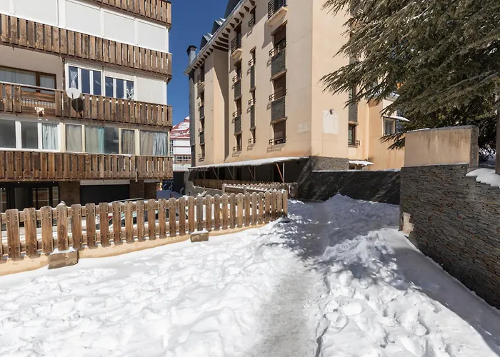 Bibo * Sierra Nevada