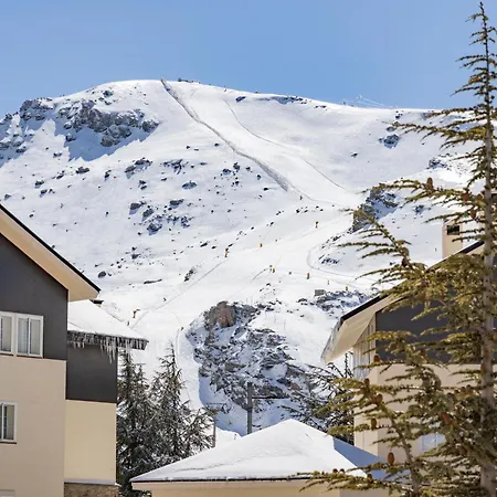 Bibo * Sierra Nevada